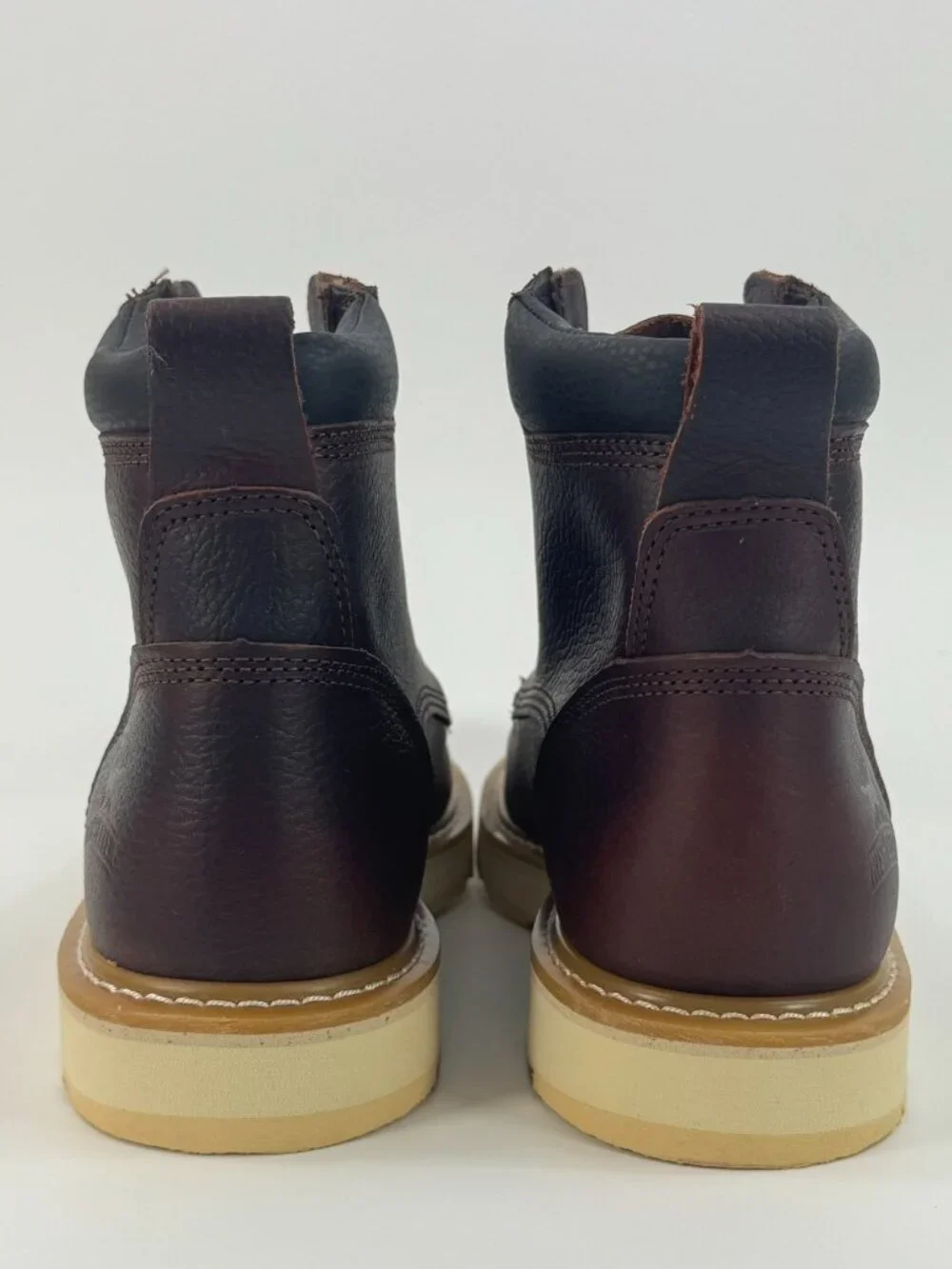 Irish Setter Ashby 6